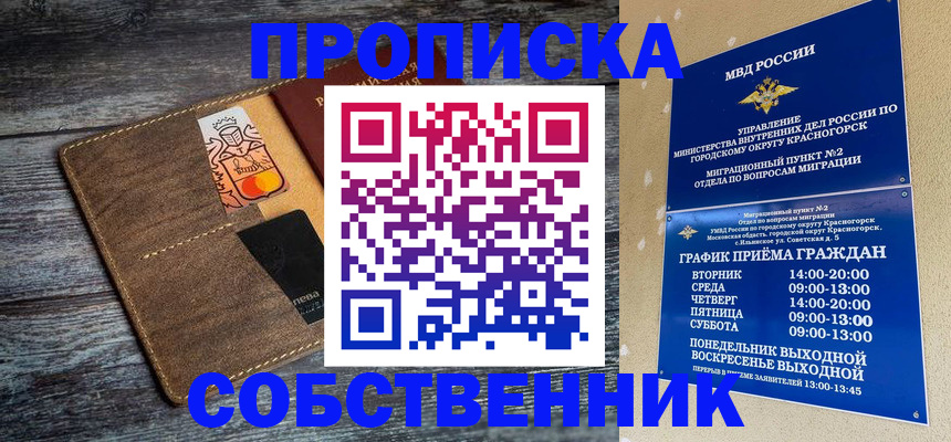 временная регистрация надежно в Электрогорске